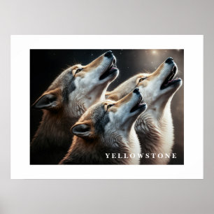 Poster Loups Yellowstone