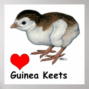 Poster Love Guinée Keets