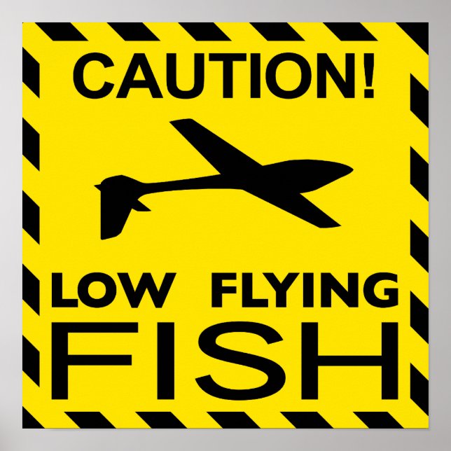 Poster "Low Flying Fish" (Devant)