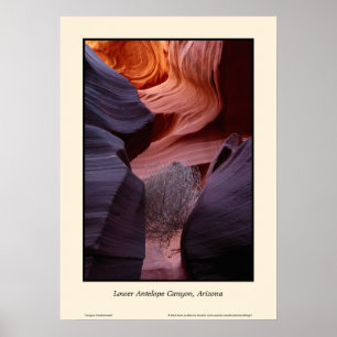 Poster Lower Antelope Canyon Arizona Tumbleweed Sud-ouest