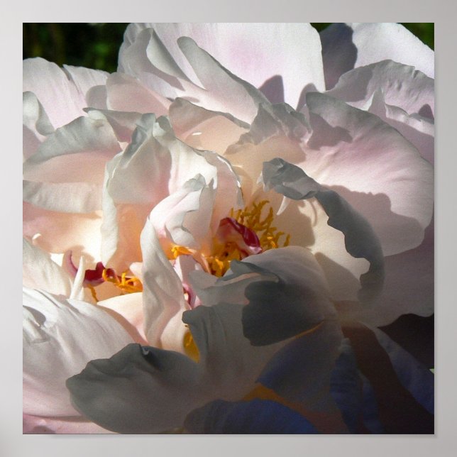 Poster Lumière et ombre 2 (Devant)