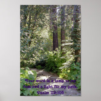Poster Lumière sur mon chemin