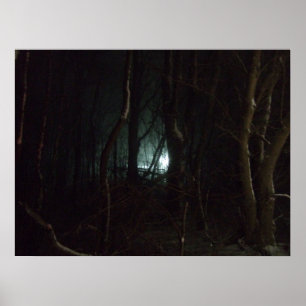 Poster Lumières dans la nuit