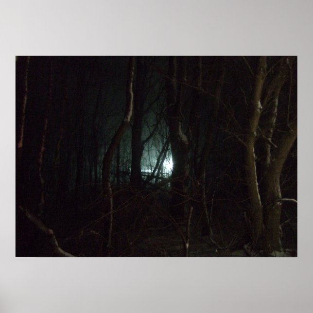 Poster Lumières dans la nuit (Devant)