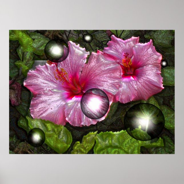 Poster lumineux (Devant)