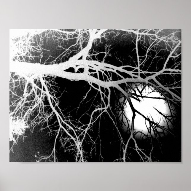 Poster Lune (Devant)