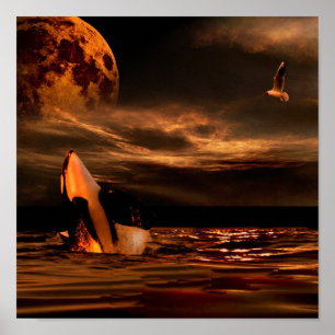 POSTER LUNE DE BALEINE