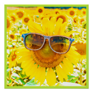 Poster Lunettes de soleil Tournesol Chic
