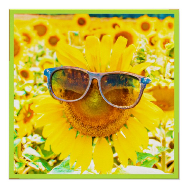 Poster Lunettes de soleil Tournesol Chic (Devant)