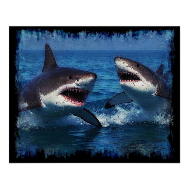 Poster Lutter contre les requins (Devant)