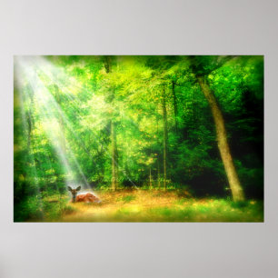 Poster Ma gloire
