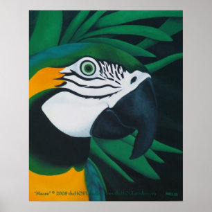 Poster Macaw
