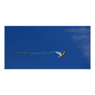 Poster Macaw Kite