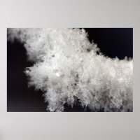Poster Macro Snowflake