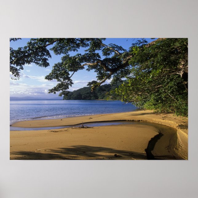 Poster Madagascar, réserve spéciale de Nosy Mangabe, sur (Devant)
