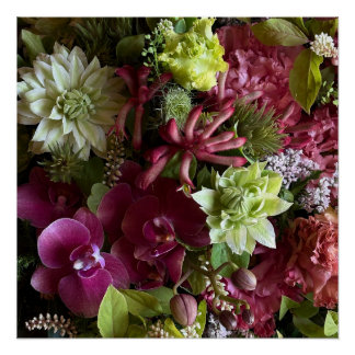 Poster Magenta Pink Orchid and Green Clematis Floral Post