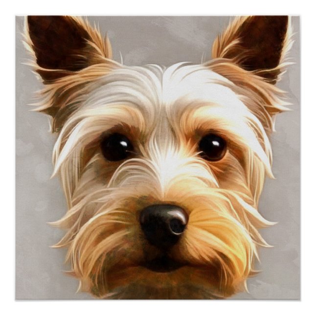 Poster Magnifique Mignonne Yorkshire Terrier Chiot Flotta (Devant)