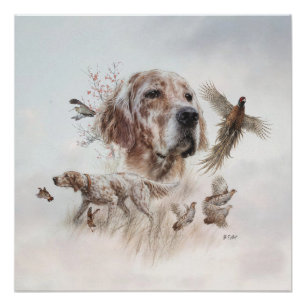 Poster Magnifique Setter , Art