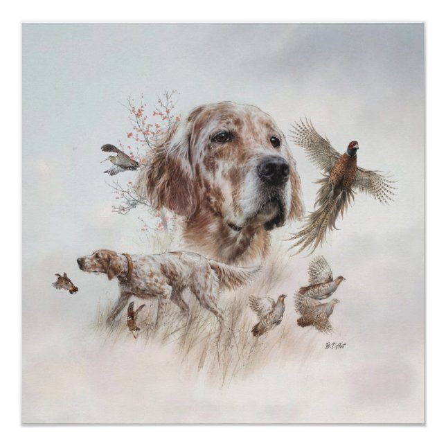 Poster Magnifique Setter , Art (Devant)