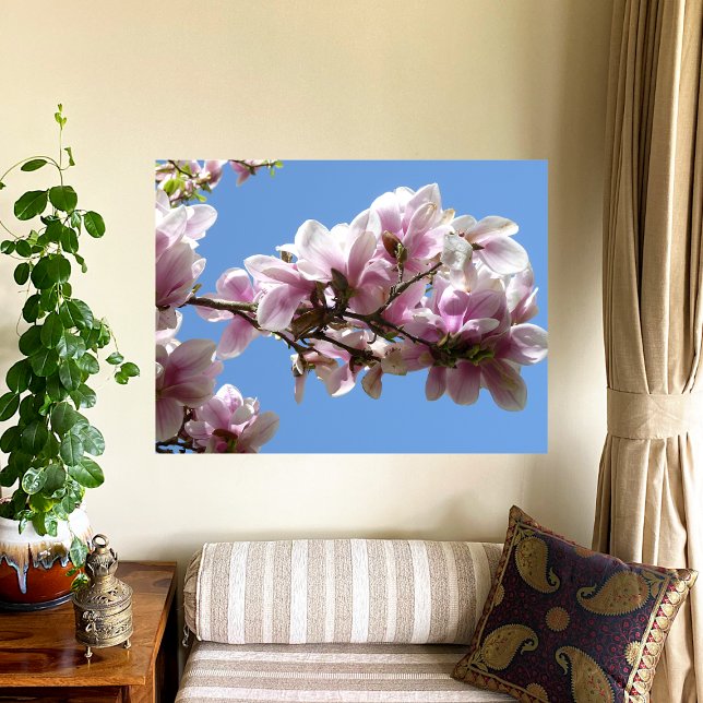 Poster Magnolia blossom (Créateur téléchargé)
