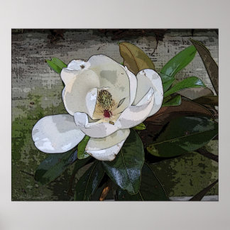 Poster Magnolia Magic Print -24x20 -other sizes available