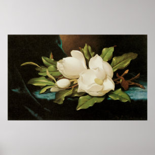 Poster Magnolias géant sur un tissu de velours bleu par M