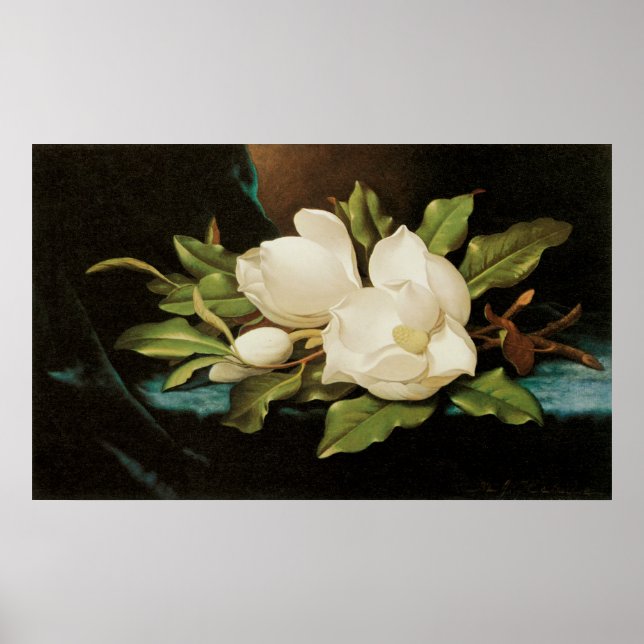 Poster Magnolias géant sur un tissu de velours bleu par M (Devant)