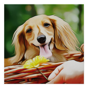 Poster Main Doxie Avec Une Fleur À Un Dachshund