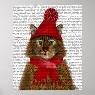 Poster Maine Coon