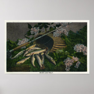 Poster MaineVue d'une jolie prise de truite du lac Maine