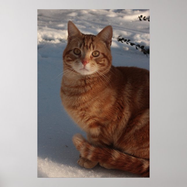 Poster Maintien à chaud (Devant)