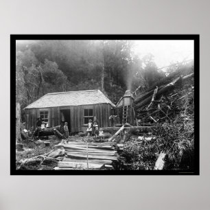 Poster Maison de colons en Nouvelle-Zélande 1906