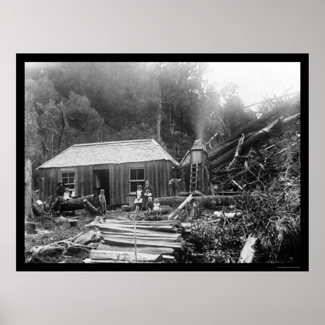 Poster Maison de colons en Nouvelle-Zélande 1906 (Devant)
