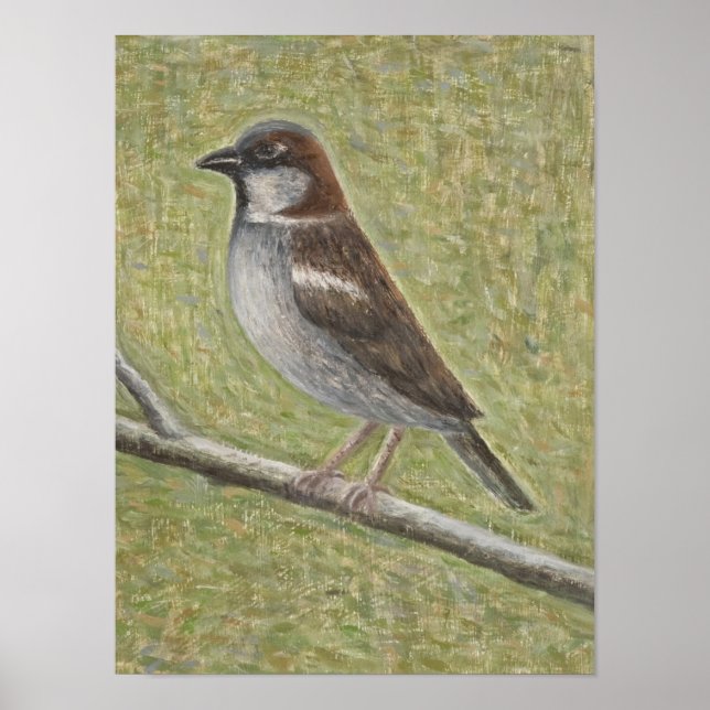 Poster Maison Sparrow 2008 (Devant)