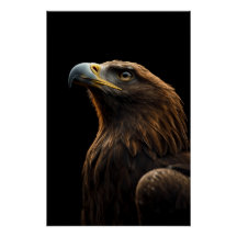 Majestic Eagle Portrait, Strength Royal Confidence