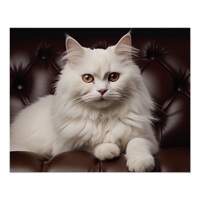 Poster Majestic white cat (Devant)