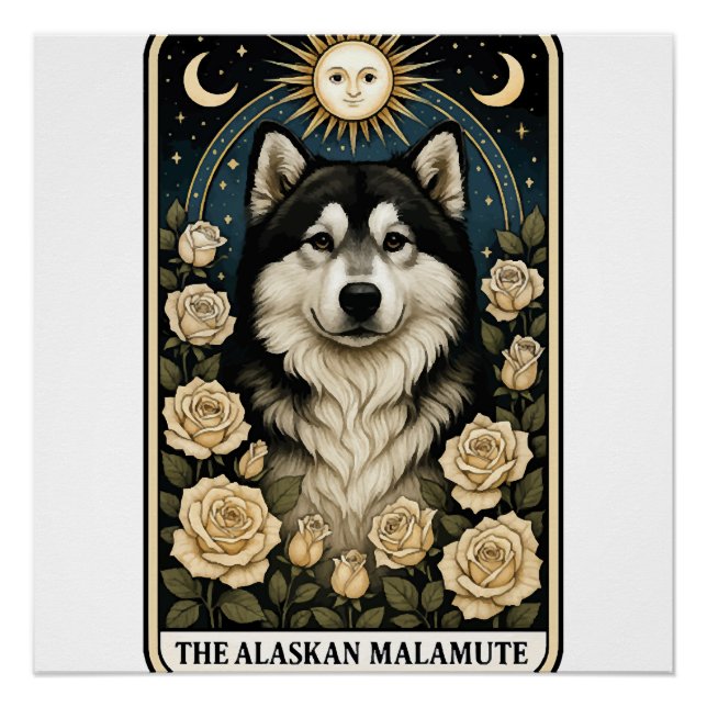 Poster Malamute d'Alaska (Devant)