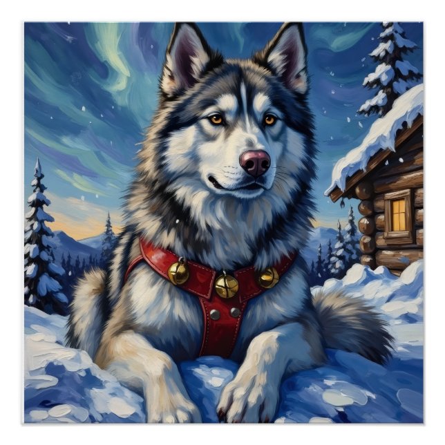 Poster Malamute d'Alaska Pôle Nord Noël d'hiver (Devant)