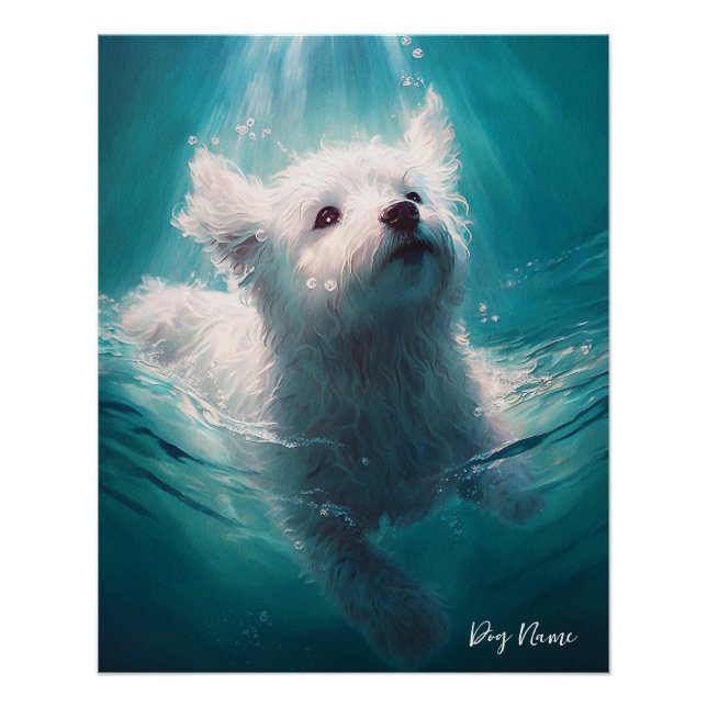 Poster Maltese dog swimming in water 003 (Devant)