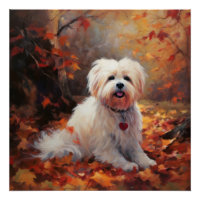 Malti Tzu à l'automne Feuilles automne Inspire