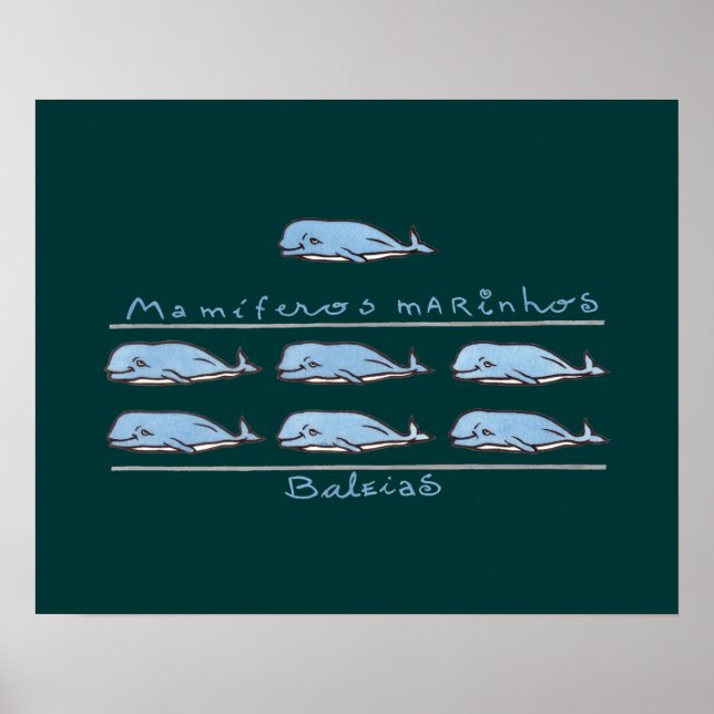 Poster mamíferos marinhos - baleias (Devant)