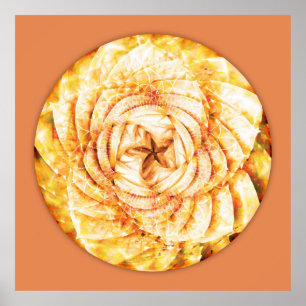 Poster Mandala 9 de la géométrie sacrée