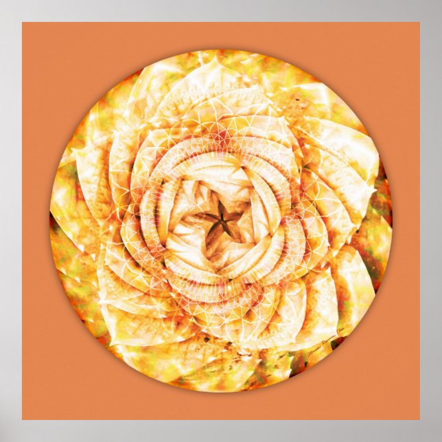 Poster Mandala 9 de la géométrie sacrée (Devant)