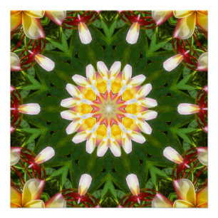 Poster Mandala de Fleur de Plumeria avec Symétrie Tropica