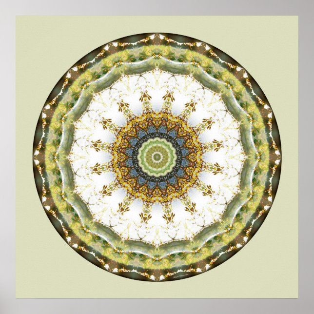 Poster Mandalas du Coeur de la Paix, No 5 (Devant)