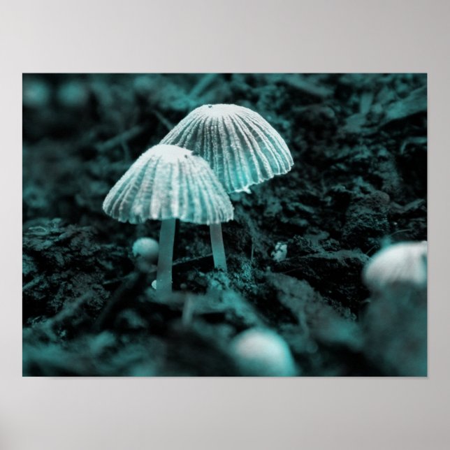 Poster Mange-Moi... Bois-Moi... (Devant)