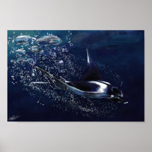 Poster Manta Ray