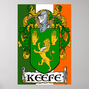 Poster Manteau de Keefe de copie irlandaise de drapeau de
