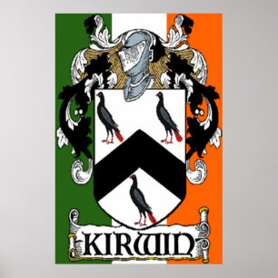 Poster Manteau de Kirwin de copie irlandaise de drapeau