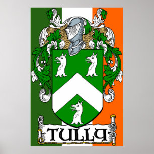 Poster Manteau de Tully de copie irlandaise de drapeau de